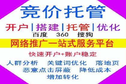 深度解析：SEM竞价优化提升ROI的案例